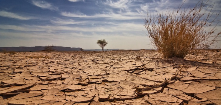 cambio climático