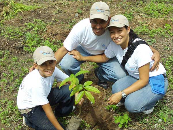 Uniplast reforestación Ávila