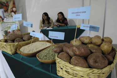 Agroindustria ecuatoriana