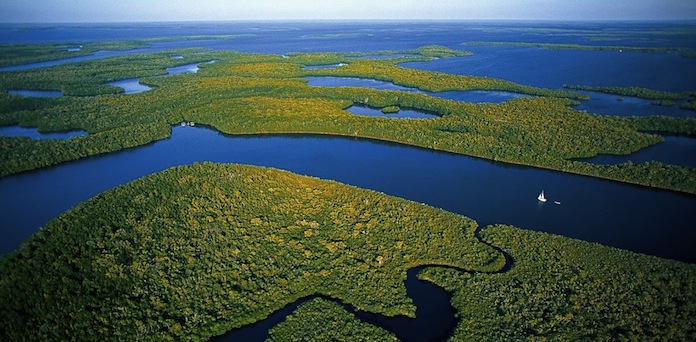 torre de observación Amazonas