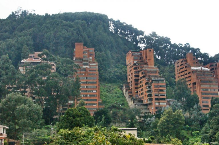 Es necesario sembrás más árboles en Bogotá