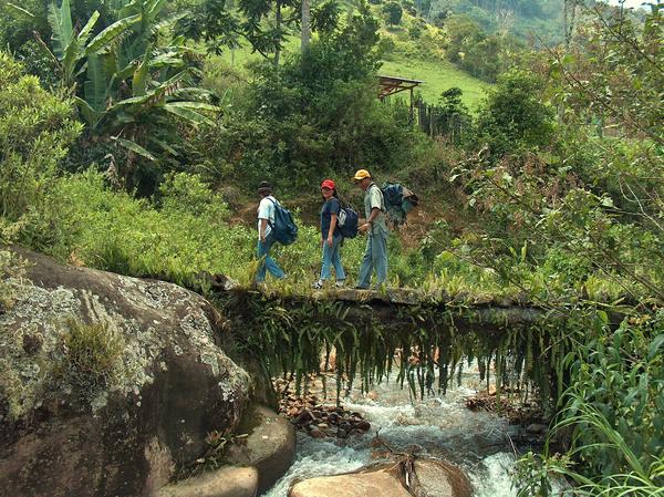 responsabilidad medioambiental