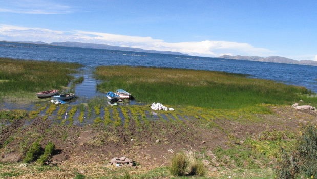 legislación contra el cambio climático