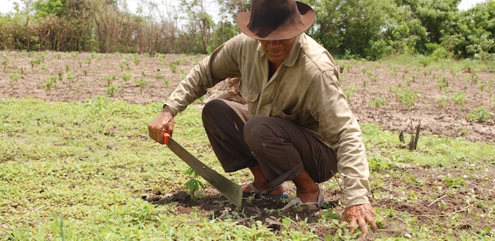 campo colombiano