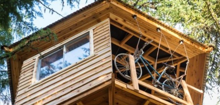 Construyo Su Casa En Un Arbol Y Sube En Un Ascensor Bicicleta Video Iq Latino