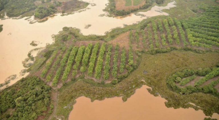 compensaciones por biodiversidad