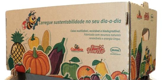 consumo consciente brasil