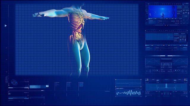 baseline study cuerpo humano