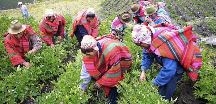 agricultores