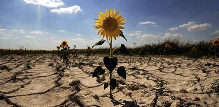 desarrollo adaptado al cambio climático