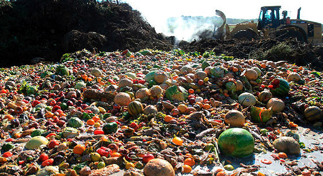 alimentos desperdiciados