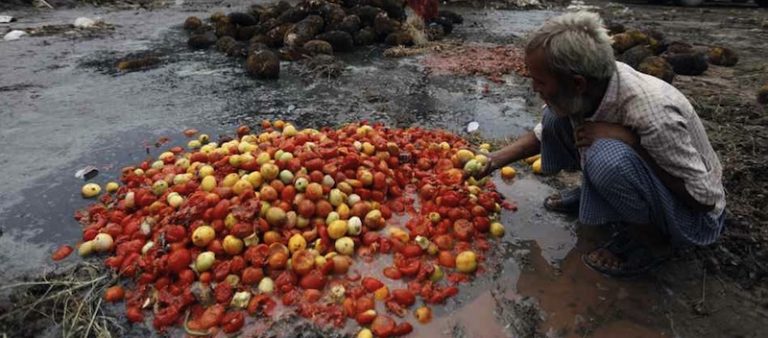 desperdicios de alimentos