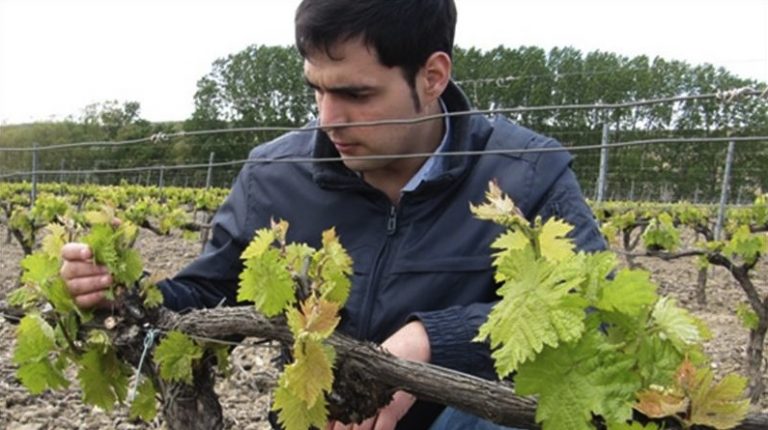 jóvenes profesionales agricultores