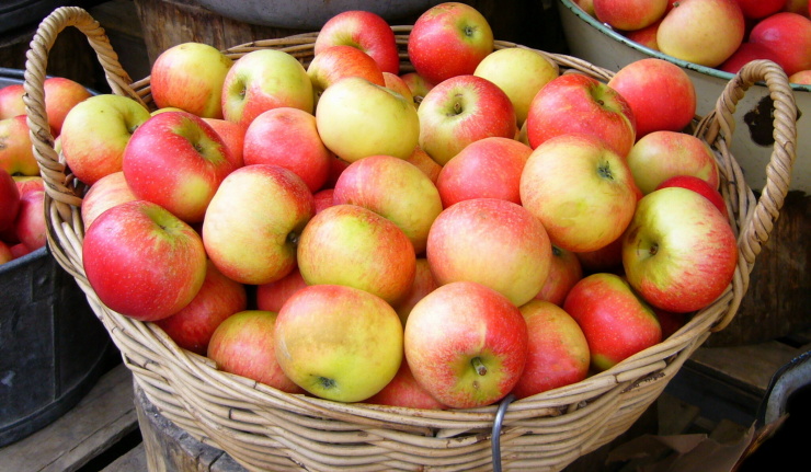 Cesto de manzanas