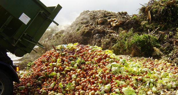 pérdida de comida