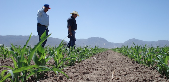 políticas agropecuarias