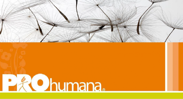 prohumana chile rse