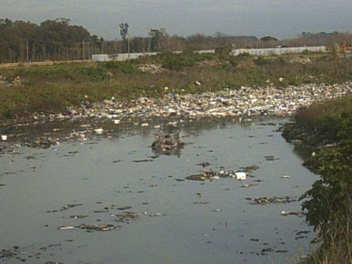 calidad ambiental Argentina