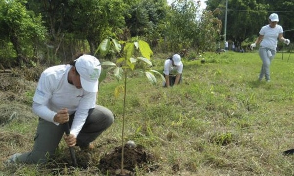 actividad productiva