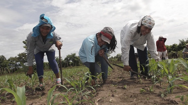 el salvador desarrollo sostenible