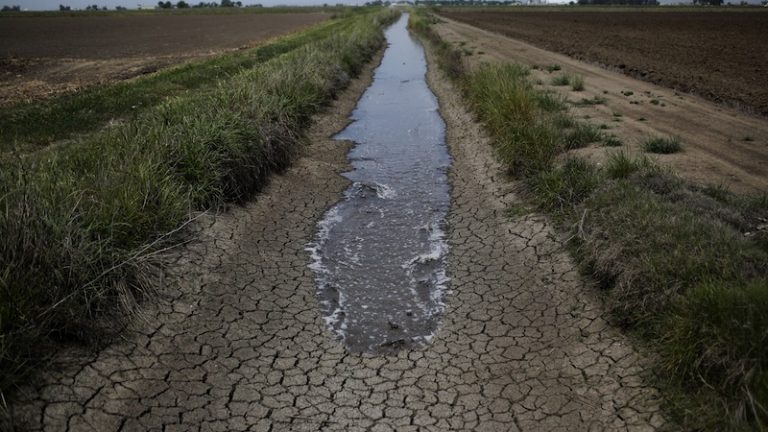 agricultores de california