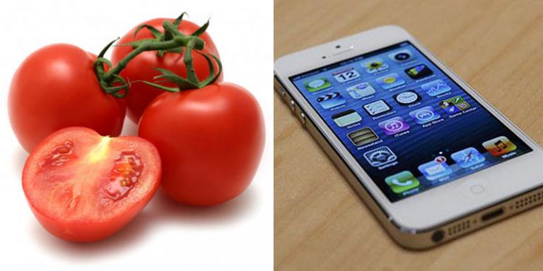 tomate ihpone innovacion